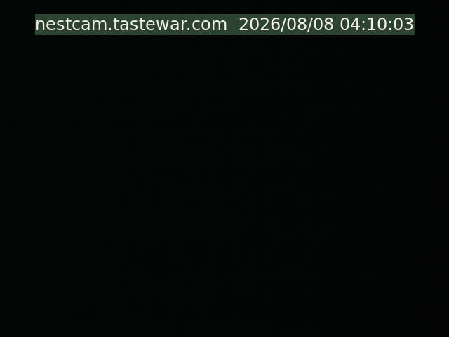 Current nestcam image
