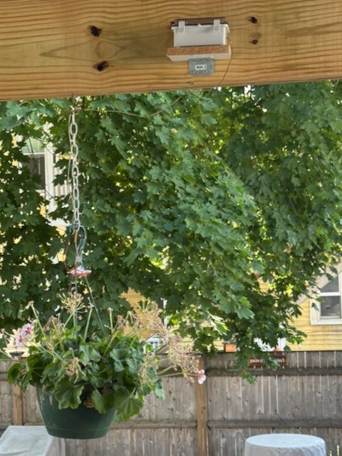 Photo of the nestcam installation